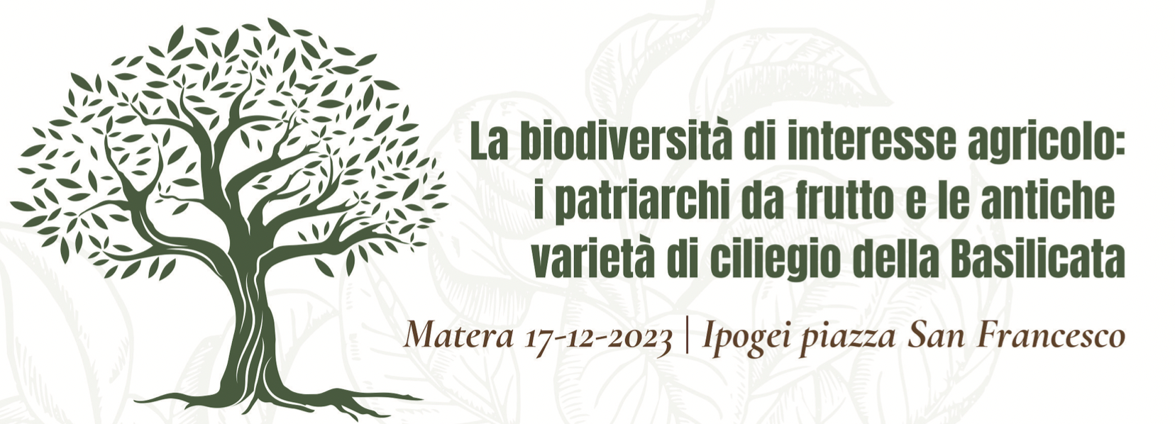 La biodiversità di interesse agricolo: i patriarchi da frutto e le antiche varietà di ciliegio della Basilicata